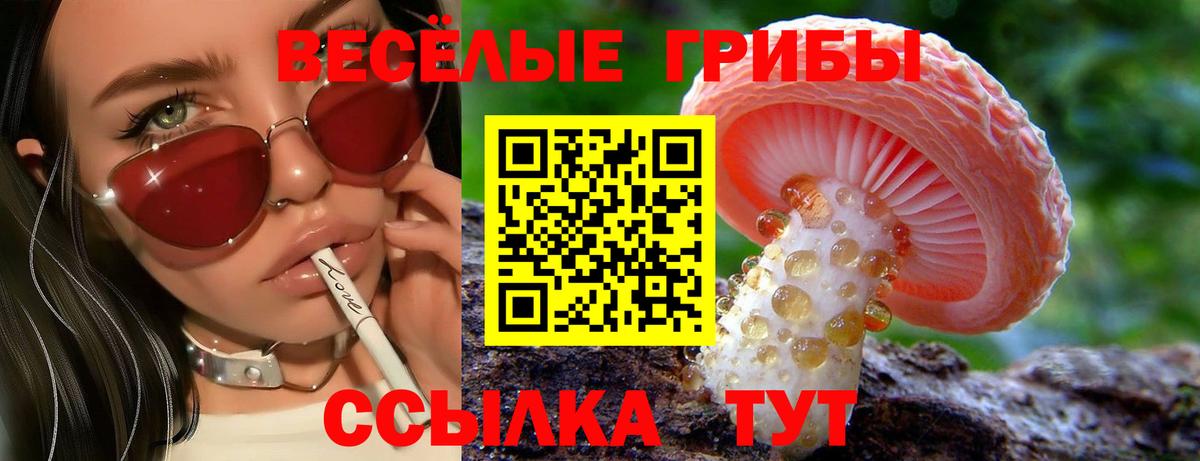 Псилоцибиновые грибы Cubensis  Галлюциногенные грибы прущие грибы  Вход с VPN  Унеча 